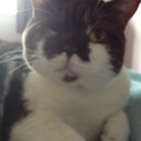 Antonia Lloyd - @toni_lloyd_ - Twitter