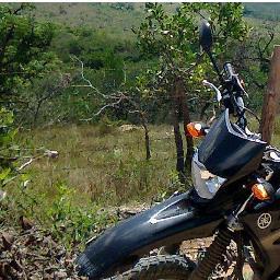 mvpp1885's profile picture. Vivendo a vida, pelo mundo e de moto!