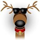 Los Al Day Camp - @LosAlDayCamp - Twitter