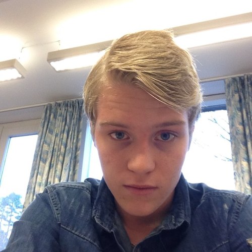 evaldsssson's profile picture. 