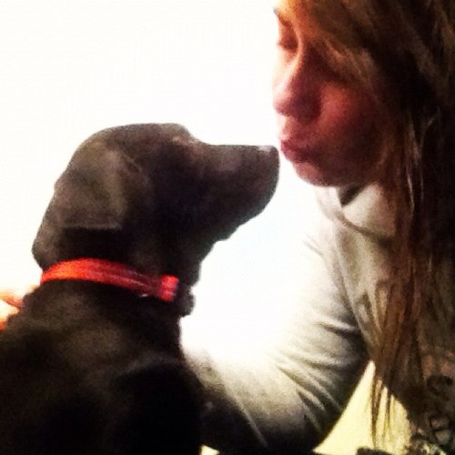 driiii1's profile picture. I love my family I LOVE my job I love my friends I love my puppy The end.