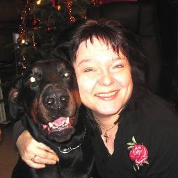 Im a teacher, dreamer and a breeder. I just LOVE dogs!