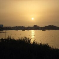 Barry Warburton (@warby71) 's Twitter Profile