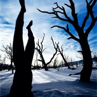 nagare06 (@kojion) 's Twitter Profile Photo