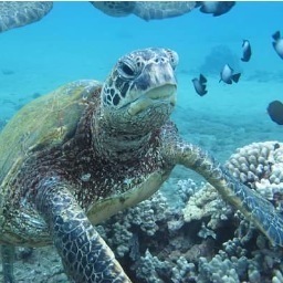 livsustainablee's profile picture. The purpose of this site is to explore ways to live a more environmentally responsible lifestyle. Follow us on Facebook at https://t.co/RHStOYAe