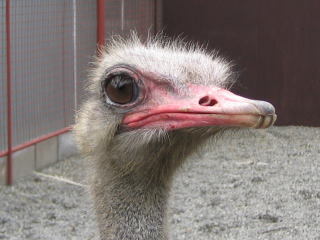 servicepack4's profile picture. 