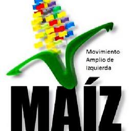 Somos el Movimiento Amplio de Izquierda