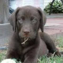 paulsheldon9's profile picture. 