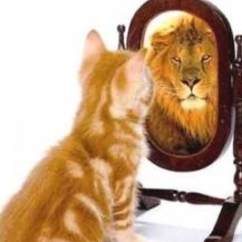 psalm5522888's profile picture. life is easy with God's grace.....