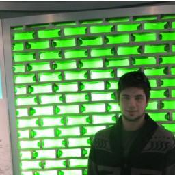 SustainableNick's profile picture. 