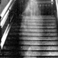 Cryptic Light (@CrypticLight) | Twitter