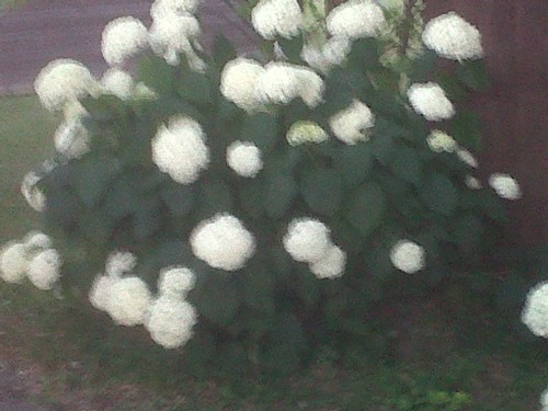 GrannysFav's profile picture. Constitutionalist Patriot, Christian, Stephen Ministries, Jill of all trades, master of some. God is AWESOME!