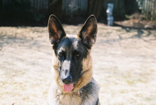 jdsum's profile picture. Music Human, guardian of art, password keeper