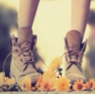 CubeRose's profile picture. 