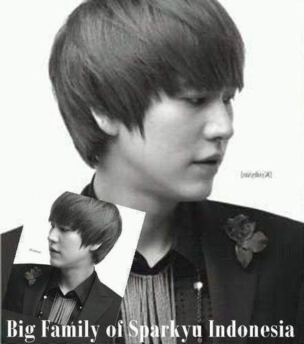 Super Junior,Exo,Shinee,Big bang,Tvxq,Snsd,T-ara,A pink,Kara,2ne1 my favorites