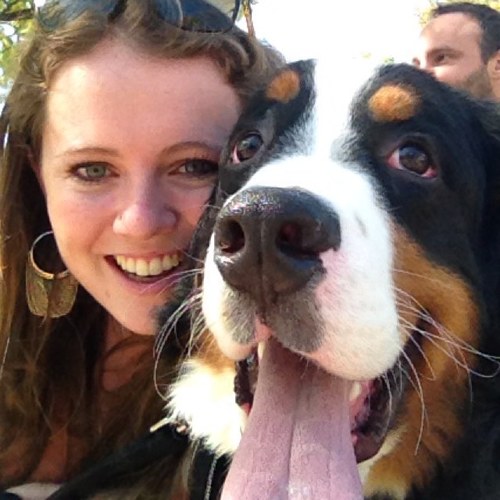 brie_cheesin's profile picture. 