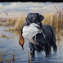 colby anderson - @MusicluverO8 - Twitter