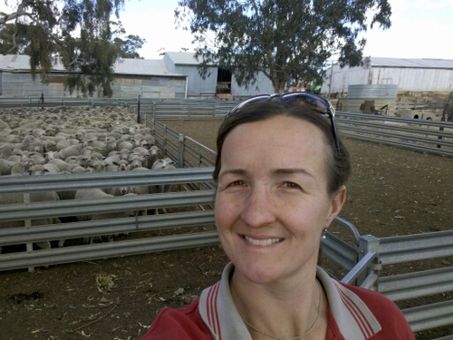 bindimurray's profile picture. 