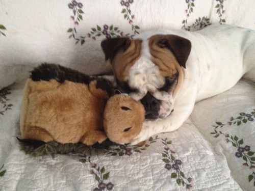 jessicadbarnett's profile picture. 