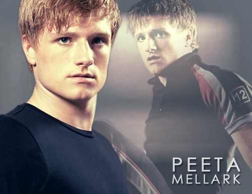 I'm district 12 tribute I'm the boy with the bread if Im going to die i want to still be me (rp account)