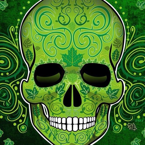 XRAYTECH5000's profile picture. 