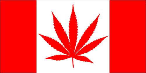 Pot Smokin' Atheist, Social Commentator