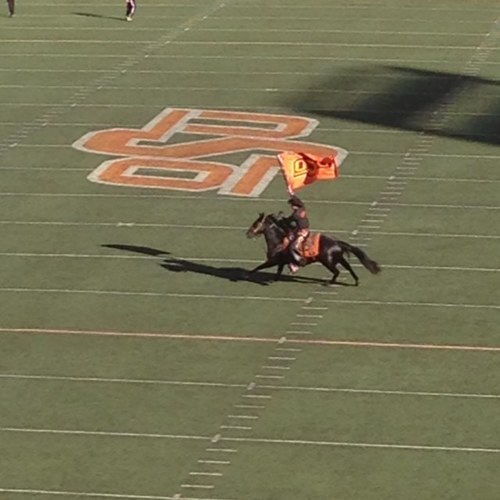 PokenAlong's profile picture. 