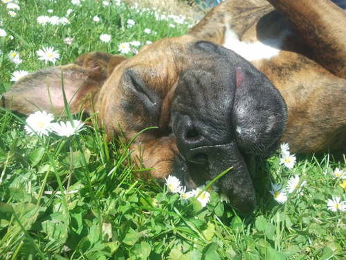 Fridatuit's profile picture. 