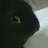ywmfg868's profile image