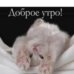 Раскрутка сайта в поисковых системах. Заказать продвижение сайта в Харькове