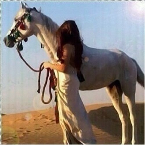 A85Lolo's profile picture. قد يتخلى گل شئ عنك ويبقى معك اللـہ، فگن مع اللـہ،♥ يبقى گل شئ معك، هكــــذا هي الحيــــاه ‘