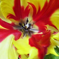 nodokanodoka's profile picture. 座右の銘♪謙虚・堅実・元気人(人*´∀`)