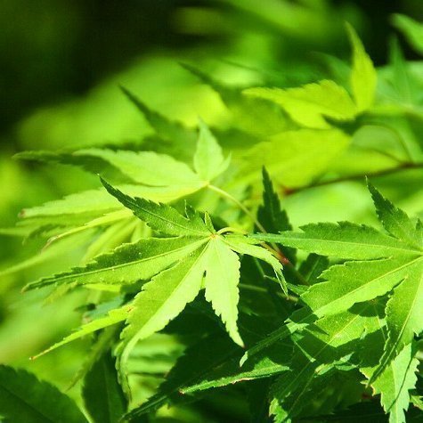 keim44874675's profile picture. 日々是精進。初心忘れるべからず