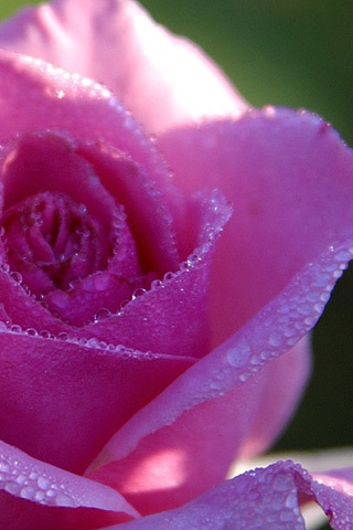 Humility is not thinking less of yourself, it's thinking of yourself less.