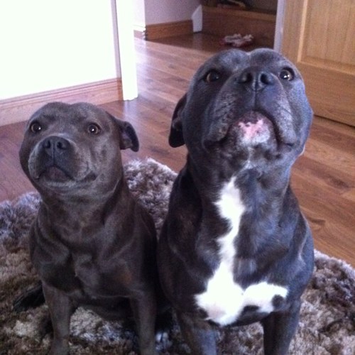 matt51887159's profile picture. 