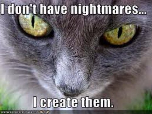 TempterR666's profile picture. 