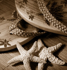 flip_flopps's profile picture. 