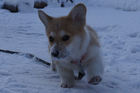 seyirin_b's profile picture. 人生無駄