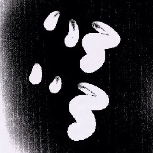 色々なことを呟くbotです。 皆のDMとリプでツイートを充実させたいです よろしくお願いします。 人を不快にさせないものなら採用します
本bot→@iroiro2_bot