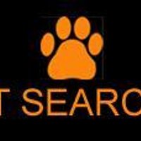 Dorset Search Dogs (@dorsetsardogs) 's Twitter Profile