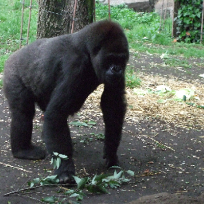 まこと たきた 顔文字のポカーンは 芸術作品だと思うのでずっと使っていきたい ゚d゚ ポカーン まこと たきた 顔文字のポカーンは 芸術作品だと思うのでずっと使っていきたい ゚d゚ ポカーン
