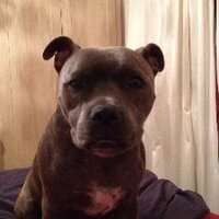 Martin Smith (@martinsmith20) 's Twitter Profile