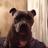 MartinSmith20's profile image