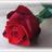 meral045's profile image