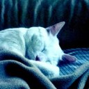 damien patterson - @PattersonDamien - Twitter