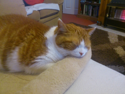 Kazfin47's profile picture. 