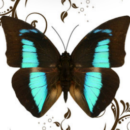 altered_eego's profile picture. 