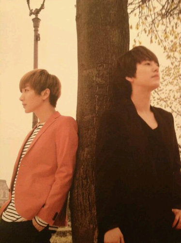 Always support 슈퍼주니어 ! 13elieve to prom15e and 10ve . Proud to be ELF || Super Junior || ♥