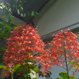 hajwel's profile picture. 