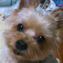 yourin (@0213Ta) Twitter